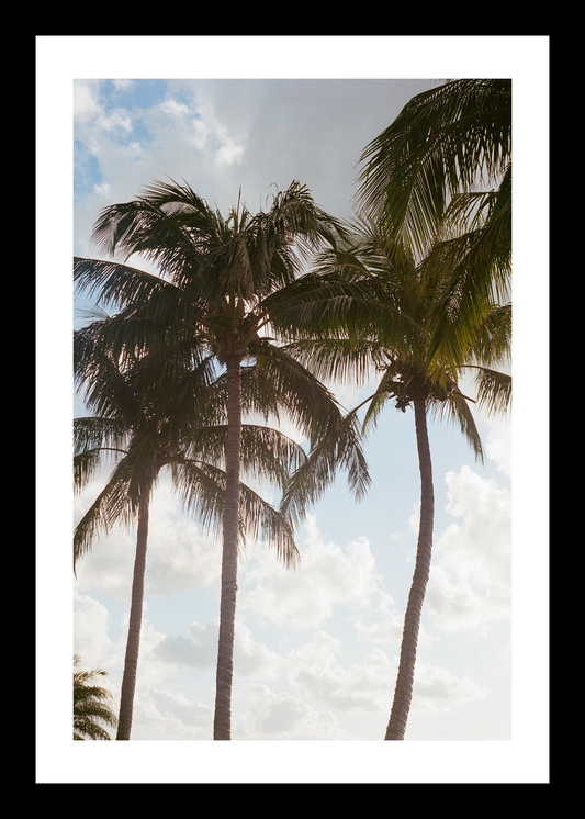 The Palms | Cabo