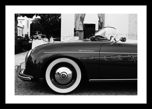 Timeless | Alys